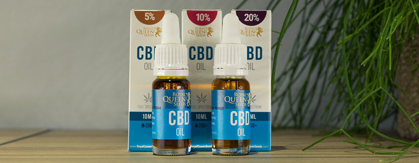 CBD-olja från Royal Queen Seeds CBD-olja från Royal Queen Seeds