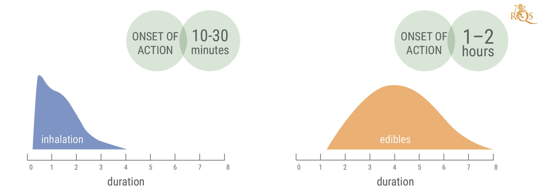 How Long Does a Cannabis High Last?