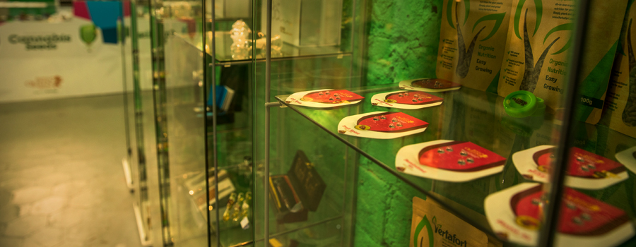 Royal Queen Seeds shop Barcelona Carme