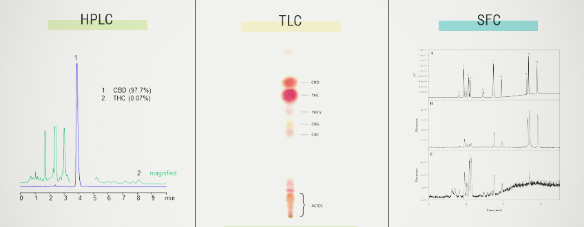 Calculating Terpene Content in Plants