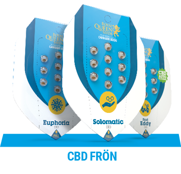 CBD CANNABIS FRÖN