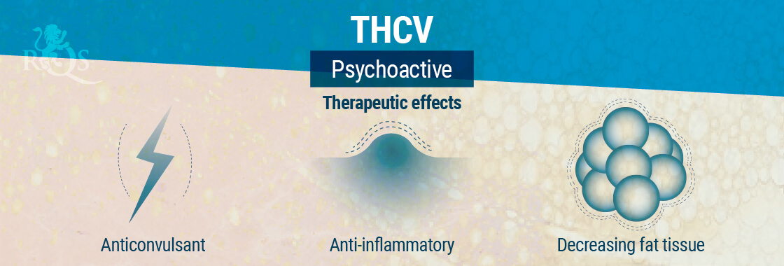 THCV Therapeutic Effects