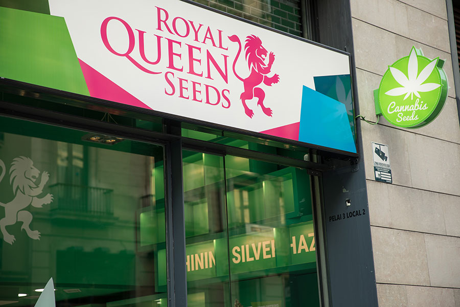 Besök Royal Queen Seeds butik i Barcelona Besök Royal Queen Seeds butik i Barcelona