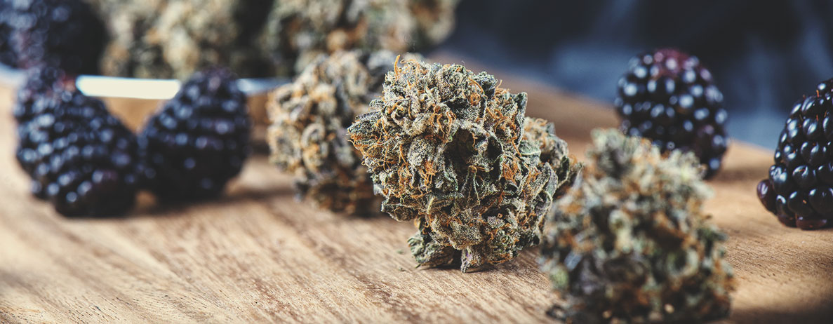 Smak och effekter av cannabissorter: en guide