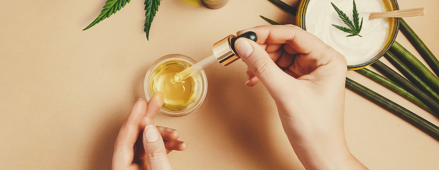 Hur man gör CBD-olja på medicinska cannabisfrön Hur man gör CBD-olja på medicinska cannabisfrön