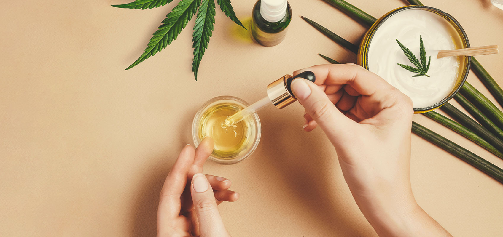Hur man gör CBD-olja på medicinska cannabisfrön Hur man gör CBD-olja på medicinska cannabisfrön