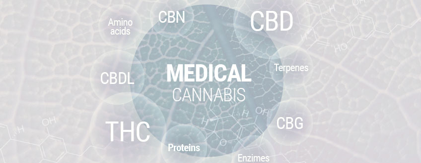 Medical Cannabis 101: The Complete Guide To Medical Marijuana