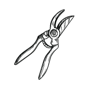 Pruning Scissors Pruning Scissors