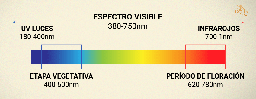 ESPECTRO DE LUZ INCORRECTO