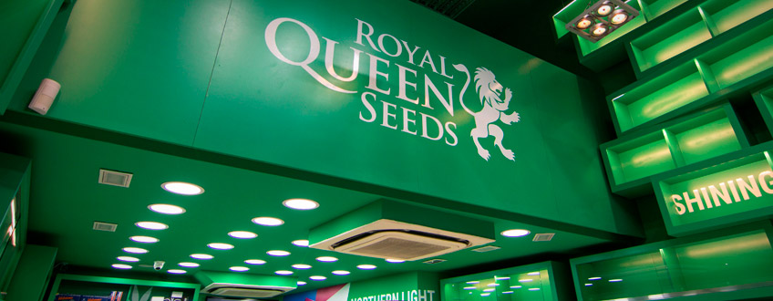 Royal Queen Seeds shop Barcelona Pelai