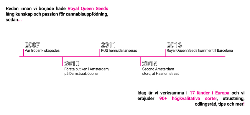 RQS Storyline RQS Storyline