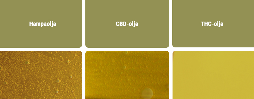 CBD-olja vs andra typer av oljor