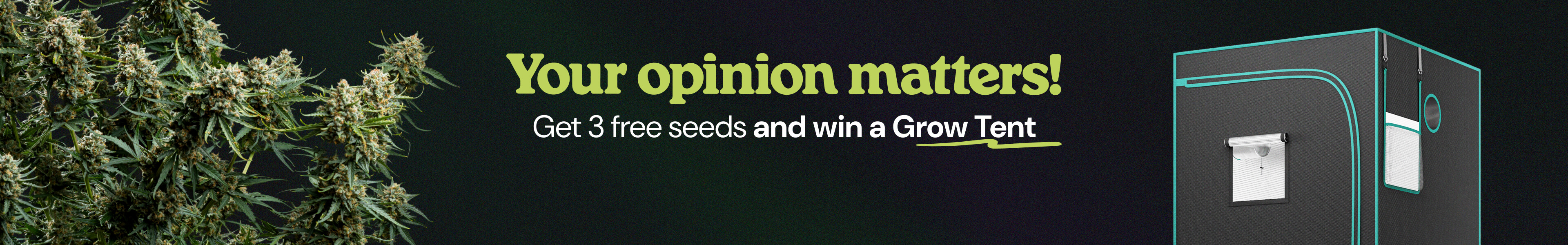 Answer to win 3 FREE Gushers Seeds