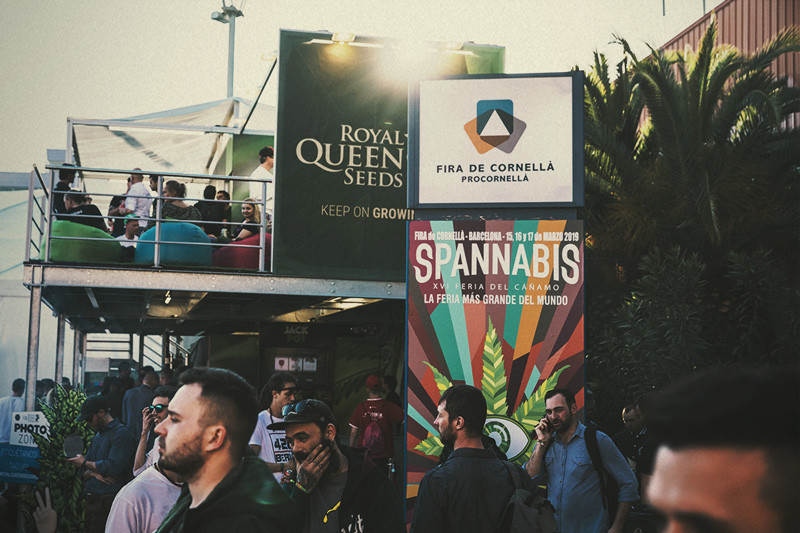 Spannabis 2019: Royal Queen Seeds vinner Bästa fröbank!