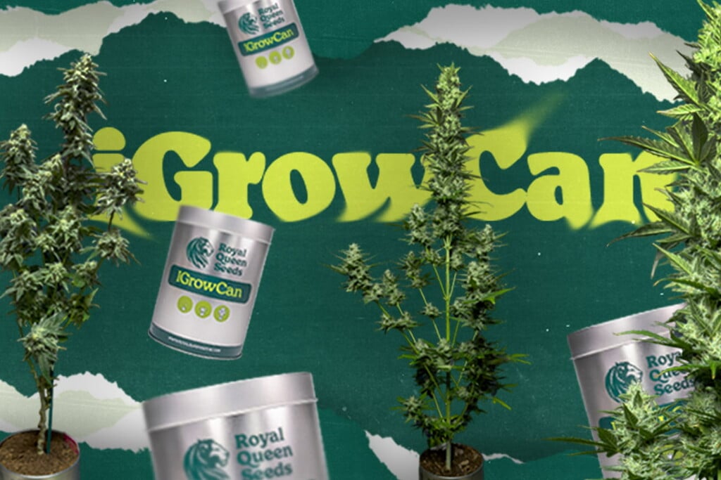 Upptäck iGrowCan: Det enklaste sättet att påbörja din första cannabisodling