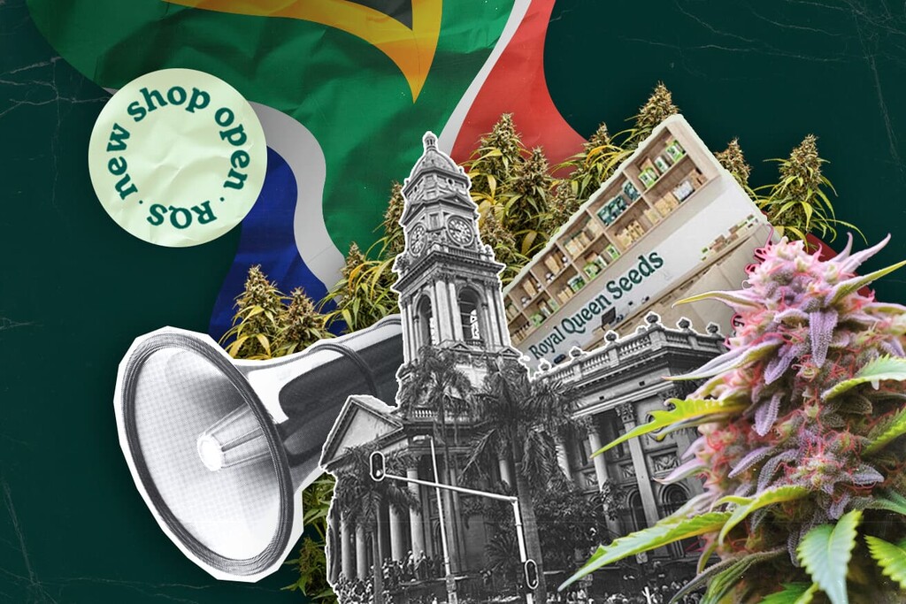 Royal Queen Seeds öppnar sin första butik i Durban, vilket tar förstklassiga cannabisfrön till Sydafrika