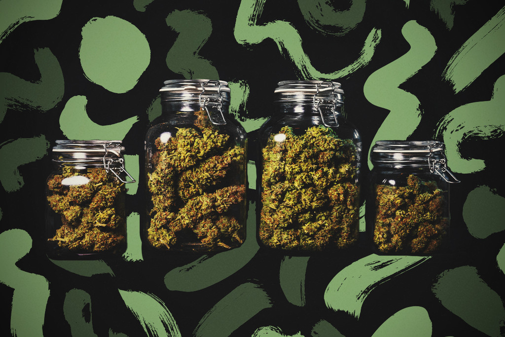 Hur man härdar sina cannabisknoppar