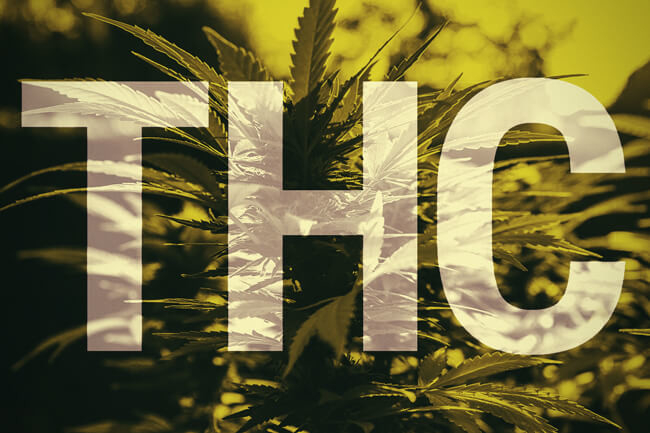 Vad är THC?
