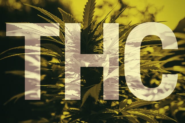 Vad är THC?